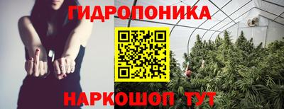 ешки Можга
